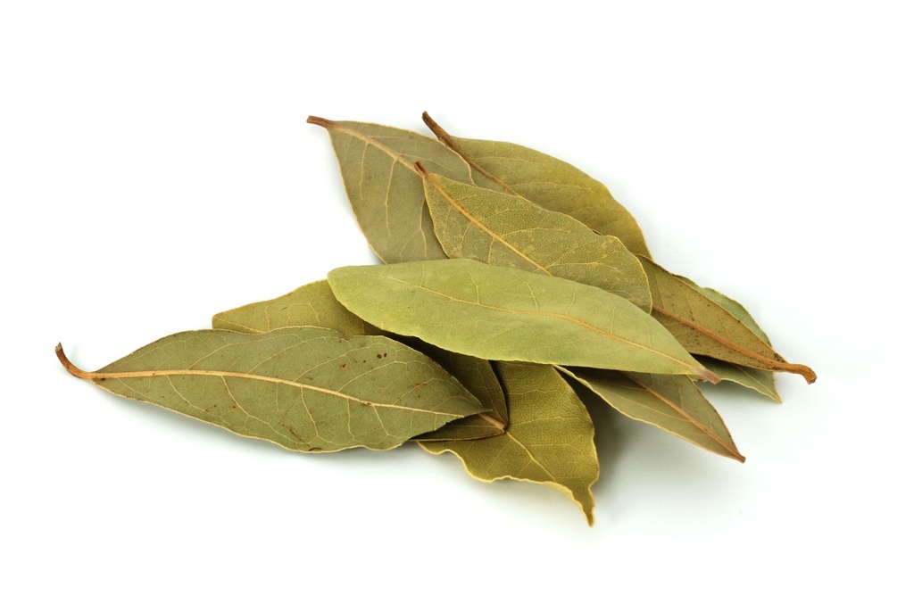 Bay Leaf |  Tejpatta
