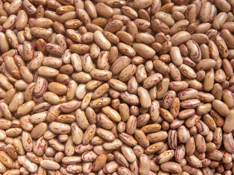 [AMART116] Rajma Chitra | 1 KG