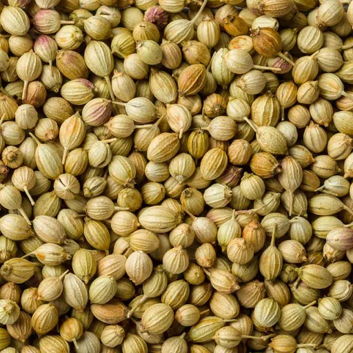 [AMART155] Coriander Seeds | 1 KG